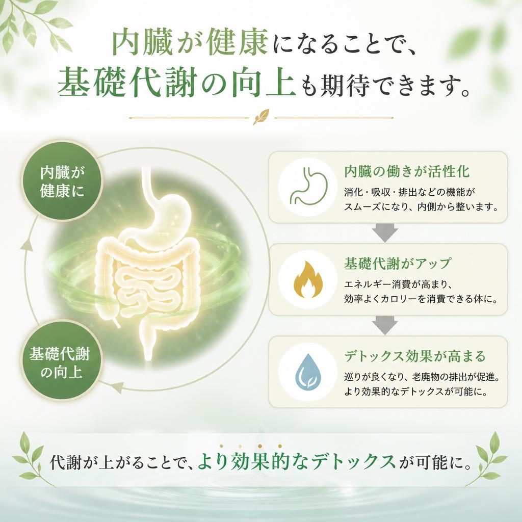 内臓ケアで基礎代謝UP！